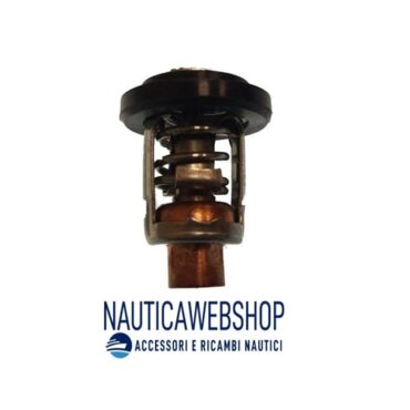 valvola termostatica yamaha selva f40 f60 f100
