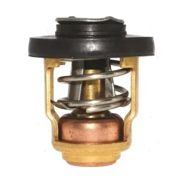 valvola termostatica per motore fuoribordo honda