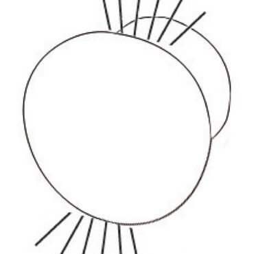 Corpo tecnopolimero, cover in acciaio Inox AISI 316 lucidato a specchio