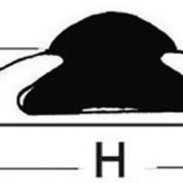 Con inserti in PVC flessibile in vari colori e terminabili da abbinare. Venduti in barre da 6 o 3 m.Ordine minimo 24 m per misura.