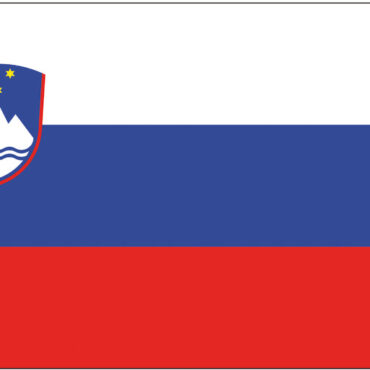 In stamina di poliestere, stampata a tinte indelebili.