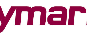 Raymarine E26001-PZ transducer