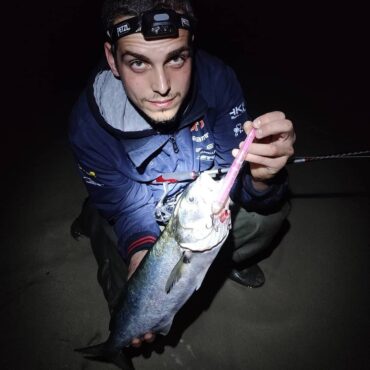 Ryuu è il nuovissimo artificiale Topwater firmato Akami, un lure che imita alla perfezione un’aguglia in fuga. Caratterizzato da un’azione vivace a zigzag stretti e schizzi d’acqua che lo rendono irresistibile a tutti i predatori marini. Il sistema interno di pesi incrementa le distanze di lancio anche con vento sfavorevole. Finiture stupende, ancorette BKK ed armatura passante sono quanto di meglio possiate chiedere per le vostre catture!
Azione: FloatingNovità 2019