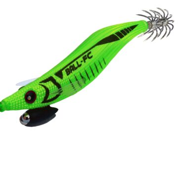 DTD BALLISTIC FUL COLOR EGI