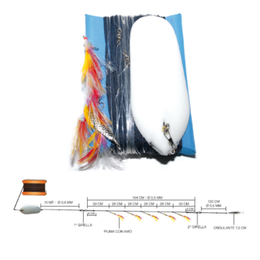 SELE DIVERGENTE COMPLETO CON BARCHETTA