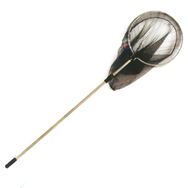 Guadino telescopico con testa rotonda. La rete e a maglia stretta.