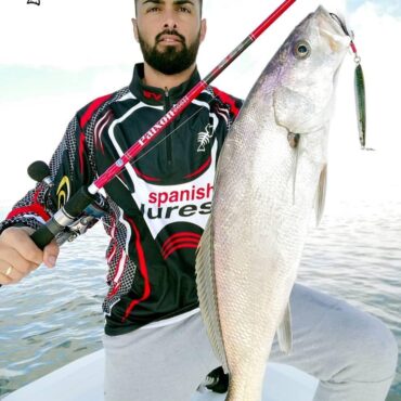 La nuova Seavara Paixón è costruita in carbonio giapponese Toray. Montata su anelli Fuji K Alconite e placca porta mulinello Fuji VSS con filettatura superiore per una migliore presa del mulinello. Azione rapida di punta che senza dubbio incanterà i pescatori più esperti, dando una risposta immediata a qualsiasi situazione di pesca si presenti. La canna Seavara Paixón è stata testata in condizioni estreme da pescatori esperti e i risultati sono stati pienamente soddisfacenti. La sua incredibile riserva di potenza si è potuta testare con pesci di grandi dimensioni. Il suo design, la polivalenza e la varietà di azioni rendono questa canna irresistibile per gli amanti dello spinning.